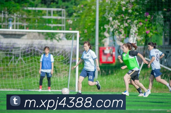 xpj全站App